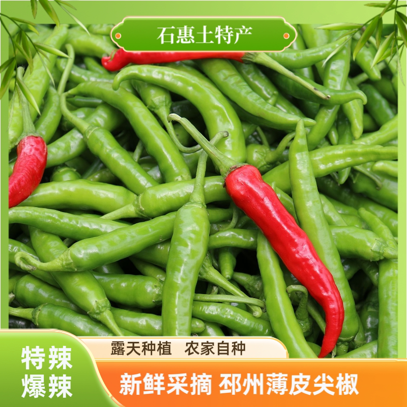 特辣湘辣670农家现摘湖南引进青辣椒邳州发货新鲜薄皮爆辣尖椒