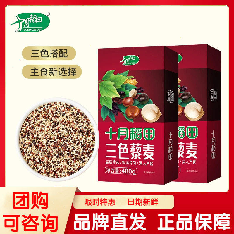 十月稻田青海三色藜麦米480g*2袋装红白黑混合黎麦米五谷杂粮粗粮