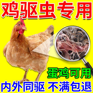 鸡驱虫专用药打虫药鸡鸭鹅肠道蛔虫虱子线虫鸡体内外寄生虫驱虫药