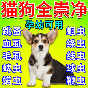 全崇净狗狗猫咪宠物百虫杀崇净片专用虫药体内外一体百虫清驱虫药