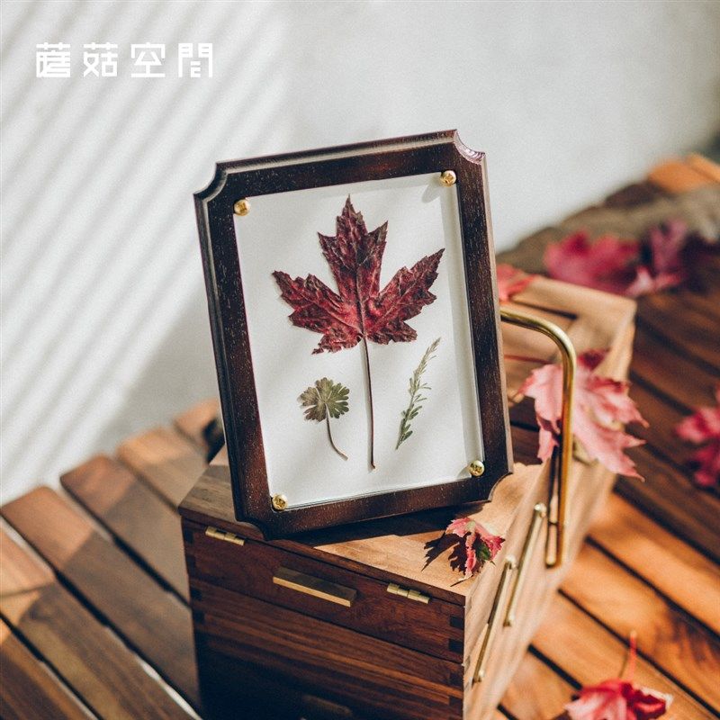 蘑菇空间植物标本夹押花器压花板植物标本制作干燥板复古实木相框,家居饰品,装饰摆件,淘宝优惠券,粉丝福利购,淘宝优惠卷