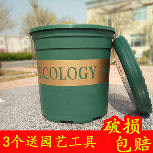 绿萝盆阳台种菜盆草T莓盆多肉花盆特 加仑花盆圆形塑料盆家用月季