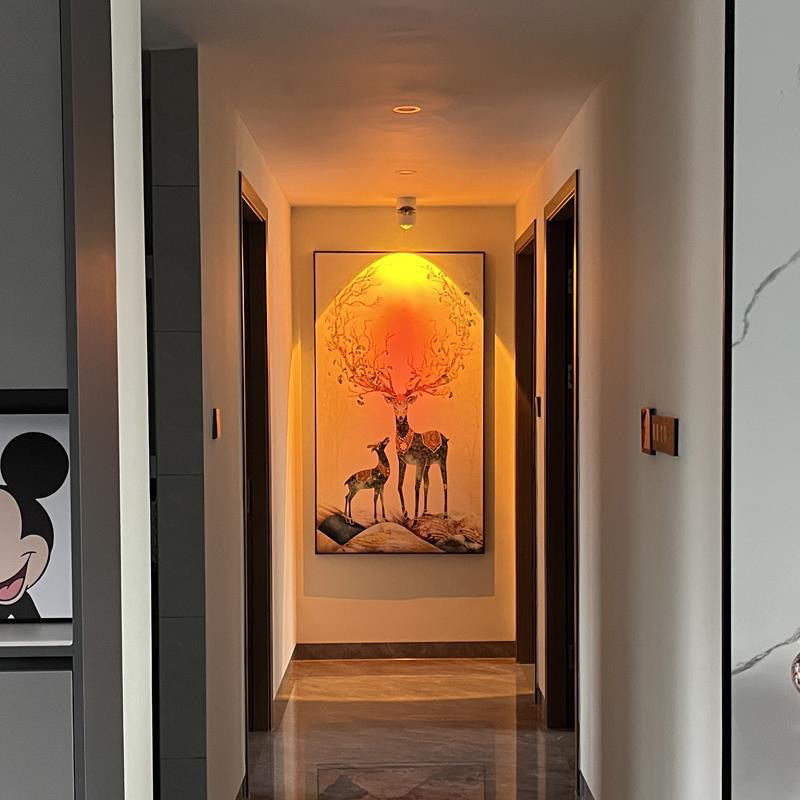 新款日不落聚光射k灯可调角度家用过道背景墙店铺商用投影洗墙筒