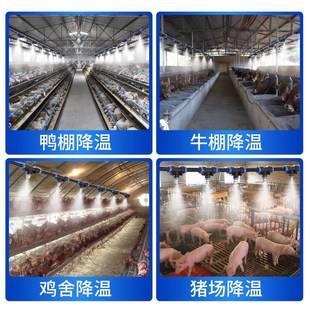 养殖场降温d喷淋喷雾器灌溉自动养猪场喷头雾化喷嘴除尘雾防尘系