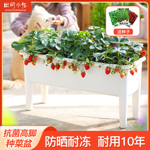 阳台种菜神器高h脚种菜盆长方形家庭蔬菜种植箱大号花盆草莓种植