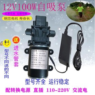 100W自吸增压泵微型C抽水高压水泵家用喷头洗车小型水泵 12V60