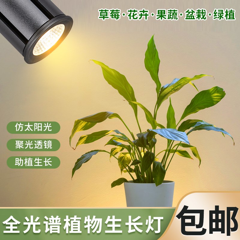 植物生长b灯led全光谱20W鱼缸育苗草莓番茄蔬菜花卉仿太阳光射灯