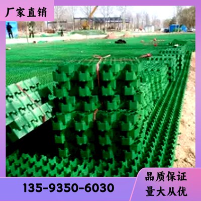 植草格塑料草坪j格停车场植草砖护坡斜坡植草坪消防通道加厚植草