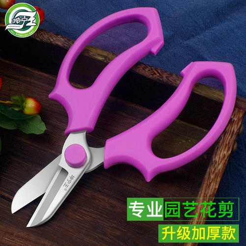 园艺剪刀修枝剪果树花艺花卉树枝专用园林花剪粗枝X剪子省力工具
