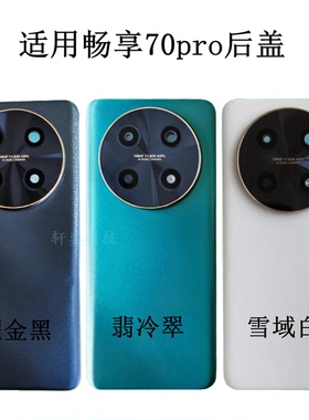 适用畅享70Pro后盖CTR-AN20后壳原装拆机中框屏幕框电池盖中壳