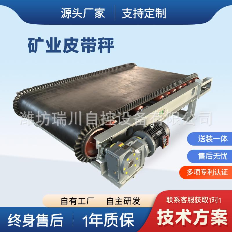 TDG型皮带秤 计量调速配料皮带秤 谷物大米粮食电子皮带秤