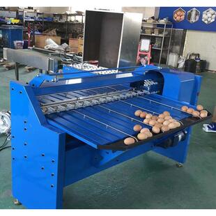 鸡蛋分级机鸡蛋按重量个头分级可配套光检检测鸡蛋内部质量