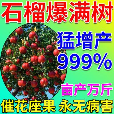 石榴树专用肥保花保果药授粉膨大果底肥料盆栽石榴生根壮苗营养液