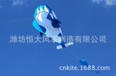 Software 大软体风筝 海豚风筝 立体卡通 Kite 虎鲸风筝