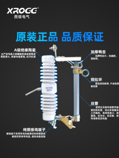 100 户外令克开关 200A RW12 熔断器 高压保险 西熔10KV跌落式