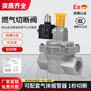 商用燃气紧急切断阀煤气天然气液化气泄漏报警器自动切断阀门螺纹