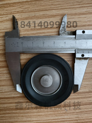 VXD250（VXD252LF)电磁阀膜片VXD25-KTD VXD252LA电磁阀膜片