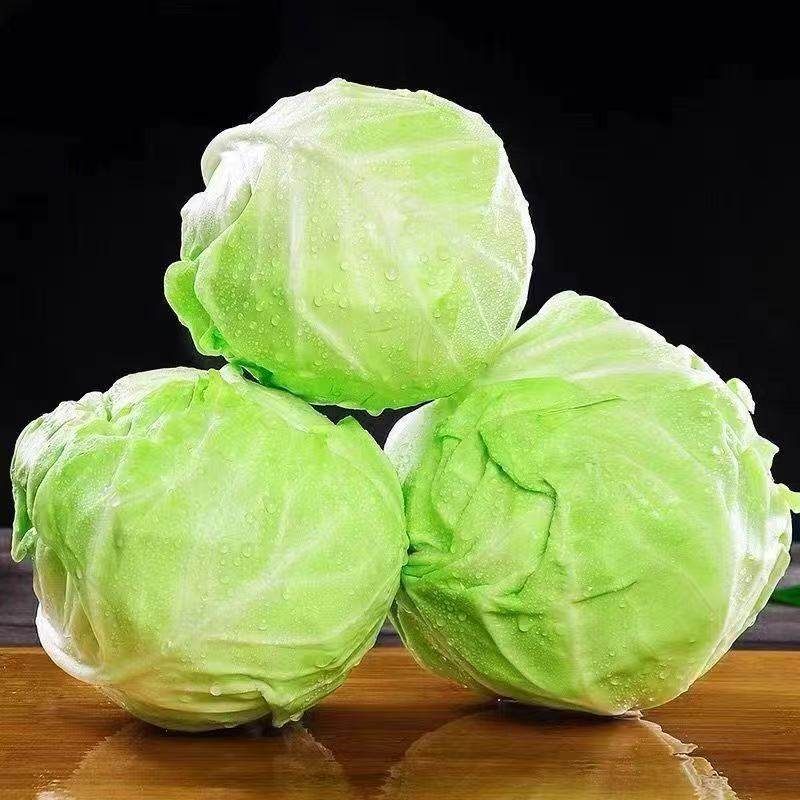 包菜脆嫩新鲜卷心菜新鲜蔬菜现砍甘蓝莲花白农家自种当季沙拉批发