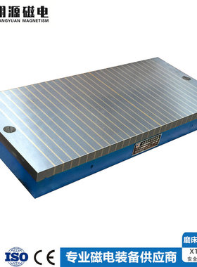 矩形标准电磁吸盘 X11-320*1000*110 平面磨床电磁吸盘