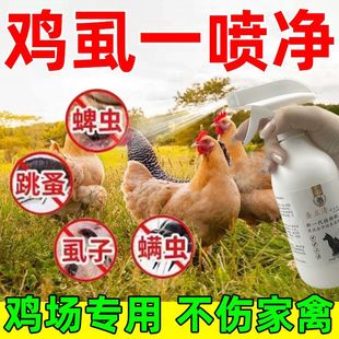 治鸡虱子药芦丁鸡驱虫鸡用兽用加强鸡虱净驱虱子害虫药禽驱虫用品