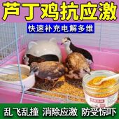 芦丁鸡电解多维抗应激炸毛没精神啄羽啄肛惊吓停蛋乱飞补充维生素