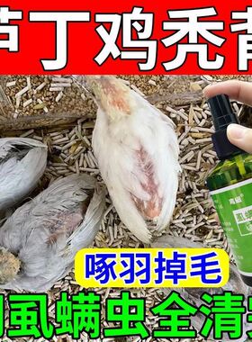 芦丁鸡秃背药掉毛啄羽防秃背羽虱螨虫寄生虫特效鸟体外驱虫喷雾