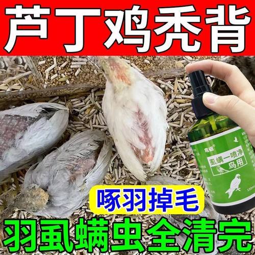 芦丁鸡秃背药掉毛驱虫官方正品