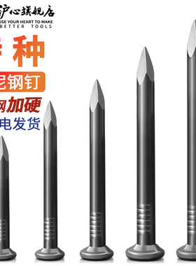 沪心特种水泥钉钢钉圆钉铁钉小洋钉木工钉子墙钉混凝土相框挂画钉