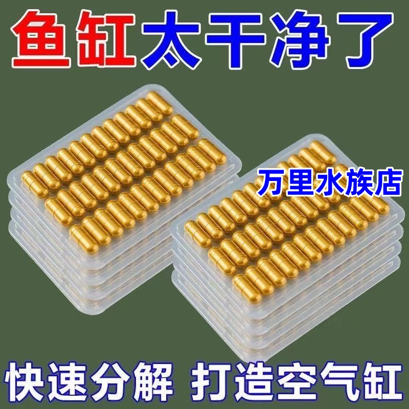 硝化细菌鱼缸专用水质净化反硝化细菌海水浓缩活性胶囊干粉净水剂