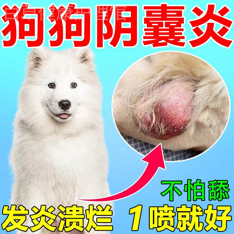 狗狗阴囊炎专用药狗蛋蛋发炎红肿溃烂伤口化流脓溃烂瘙痒消炎喷剂