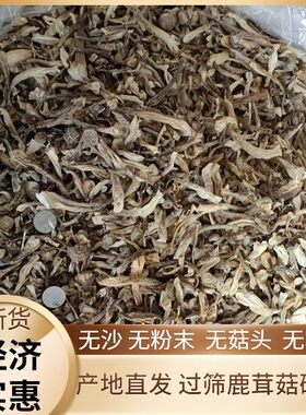 鹿茸菇菇碎包饺子神器