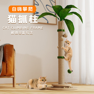 BULUS剑麻绳猫抓柱 猫爬架椰子树磨爪猫抓板耐抓不掉屑实木猫玩具