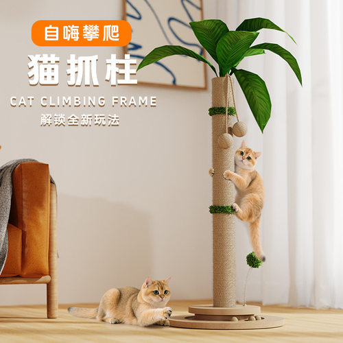 BULUS剑麻绳猫抓柱 猫爬架椰子树磨爪猫抓板耐抓不掉屑实木猫玩具