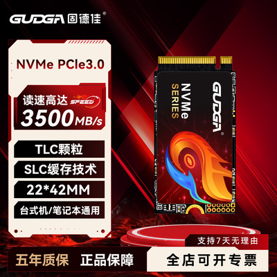 固德佳GVXm2笔记本固态硬盘SSD