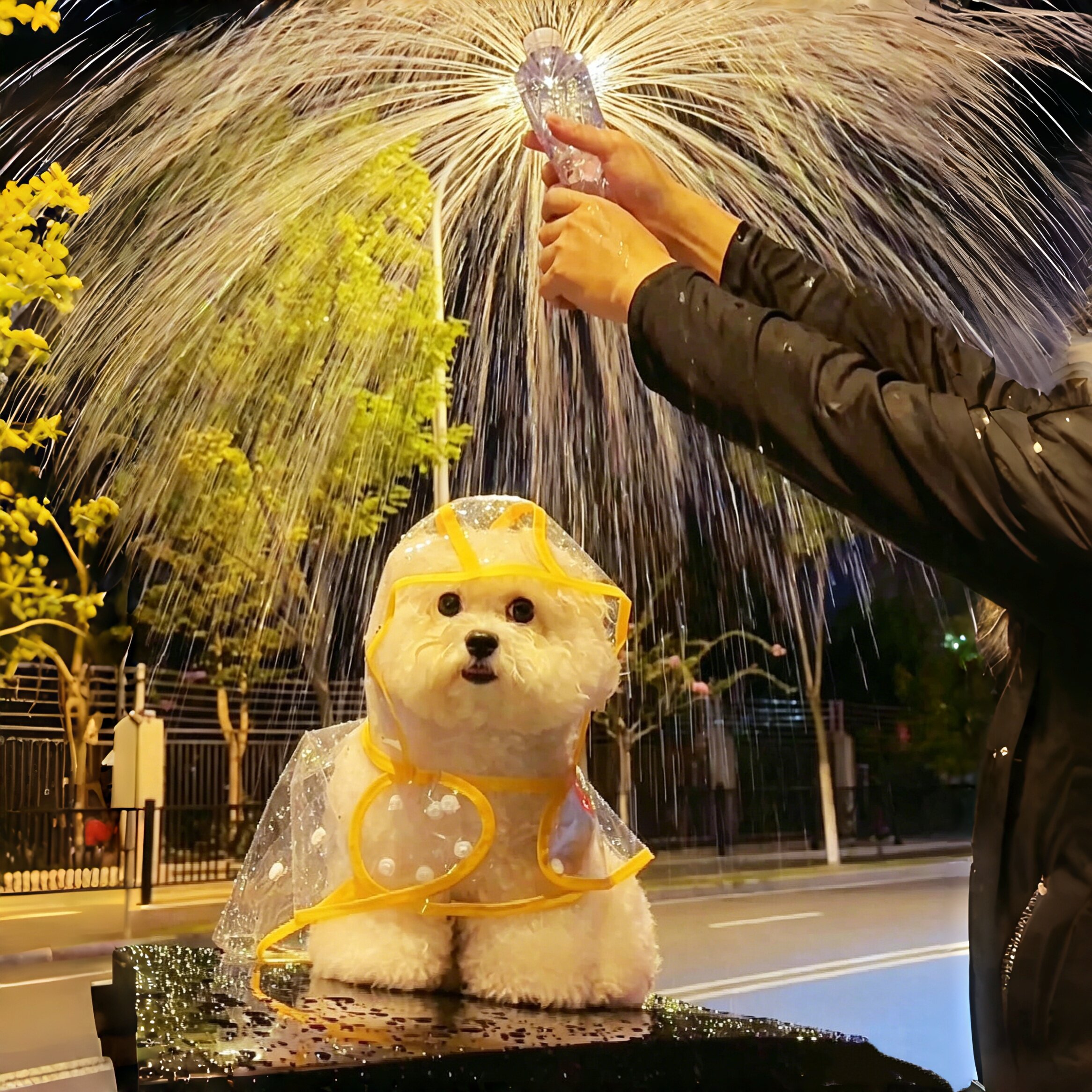 雨天也能不湿肚肚啦~雨衣图片