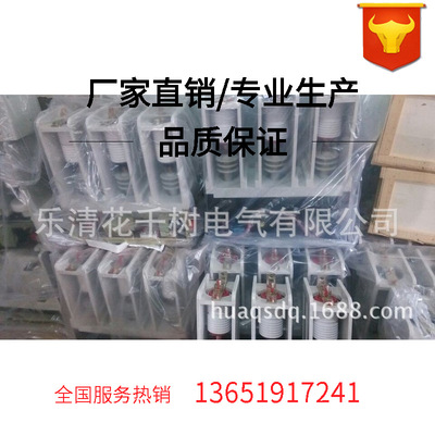 CKG5-10/630-LS交流真空接触器交流高压接触器CKG5-10KV/630A