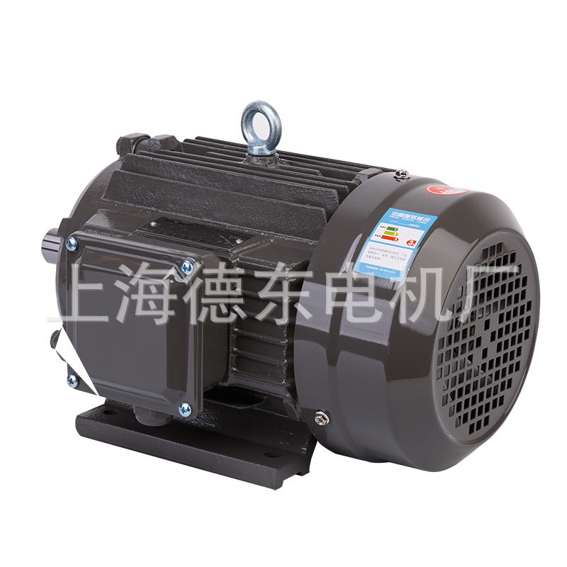 上海德东 YE2 YE3 100L1-4 2.2KW 三相异步电动机 马达