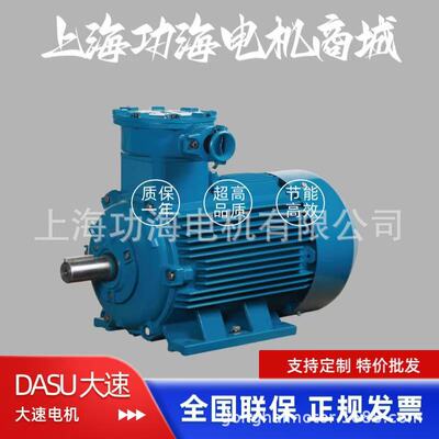 DASU大速煤矿电机 exd II BT4三相隔爆型电动机 马达 YBX3-180M-4