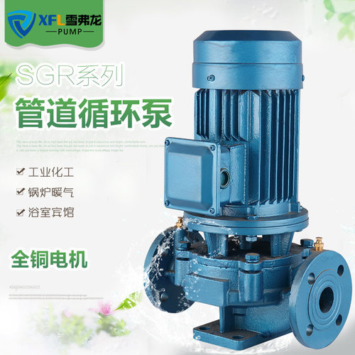 厂家直销  单相SG/SGR小微型热水立式管道泵 1.5寸750W丝口管道泵