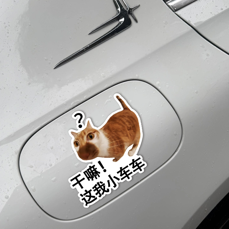 meme猫咪搞笑汽车个性文字车贴表情创意装饰防水防晒后窗玻璃贴纸