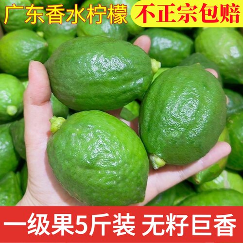 【果园现发】正宗广东无籽香水柠檬一级果手打柠檬茶奶茶店商用