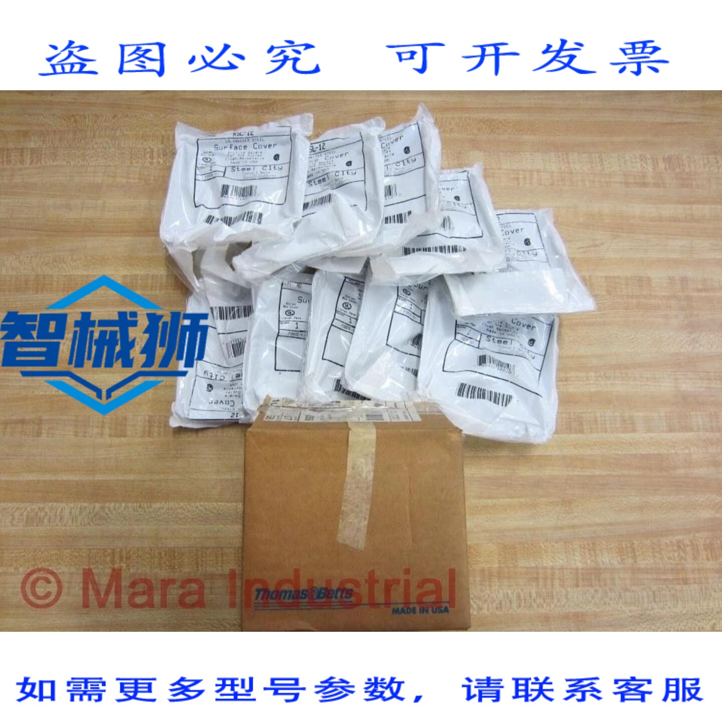 原装供应 THOMAS&BETTS RSL-12 RSL12 钢盖（10 个装）