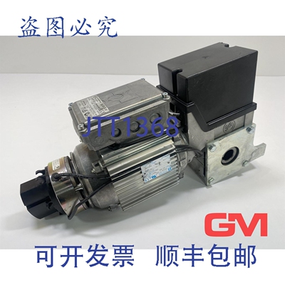 原装供应Gfa Elektromaten 电机 SI4.230-25.00 + 齿轮 Hanning D