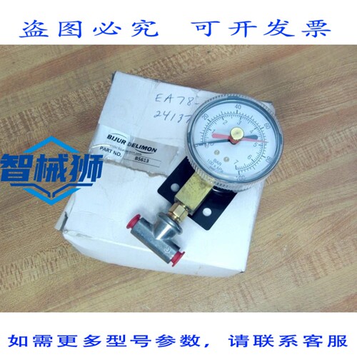 原装供应 BIJUR DELIMON B5613 压力表（带接头）