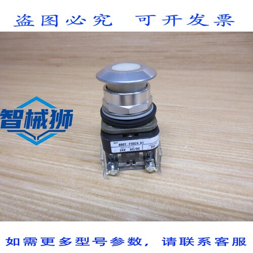 原装供应 罗克韦尔AB 800T-FXQ24 A1 按钮 800TFXQ24A1 白色
