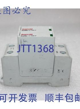 原装供应RAYCAP T2-300-2+0-R 过压