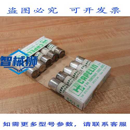 原装供应 CAPELIN 5014 C 保险丝 NF.C 63210（10 个装）