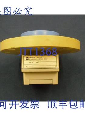 原装供应液位传感器 Endress & Hauser DU41 设备