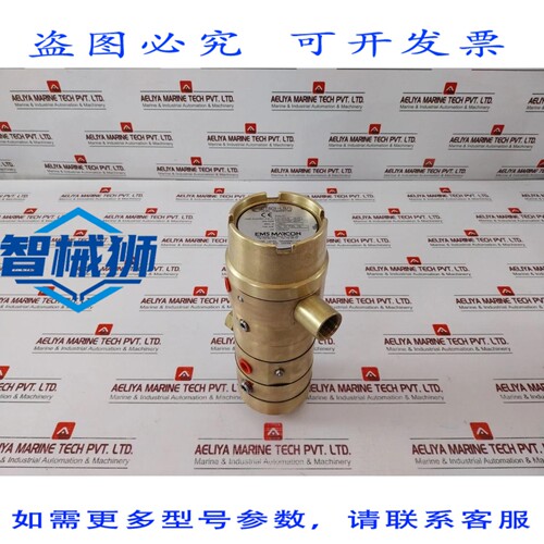 原装供应 MARCON CT801-LB/S 液位变送器 25598-03 IP66/67 0-333