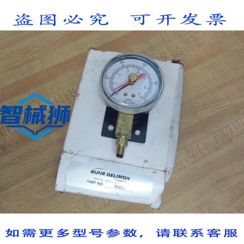 原装供应 BIJUR DELIMON B5613 压力表